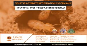 Termite reticulation system installation