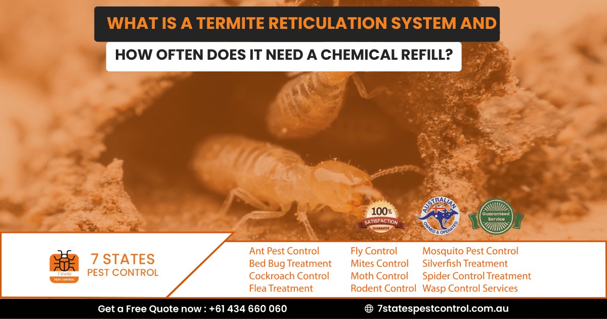 What is a Termite Reticulation System and How Often Does It Need a Chemical Refill?