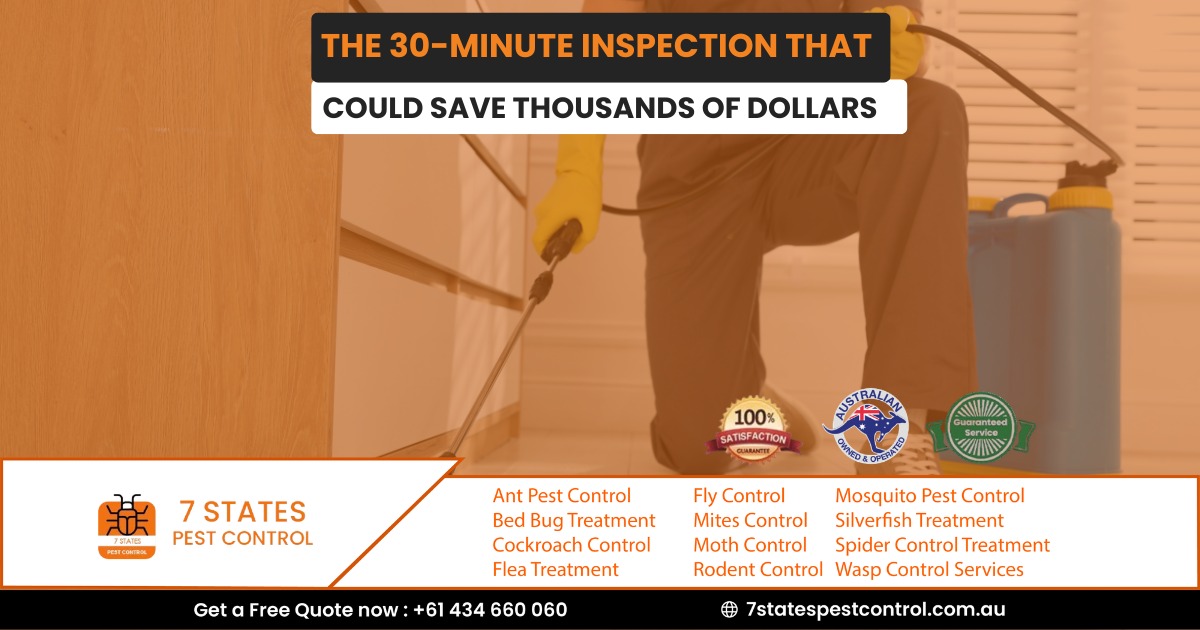 The 30-Minute Inspection That Could Save Thousands of Dollars