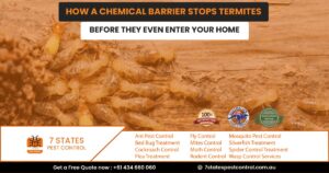 termite prevention melbourne
