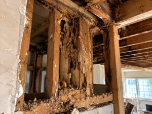 termite prevention melbourne