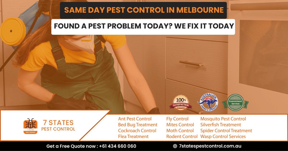 Same Day Pest Control in Melbourne. Found a Pest Problem Today? We Fix It Today