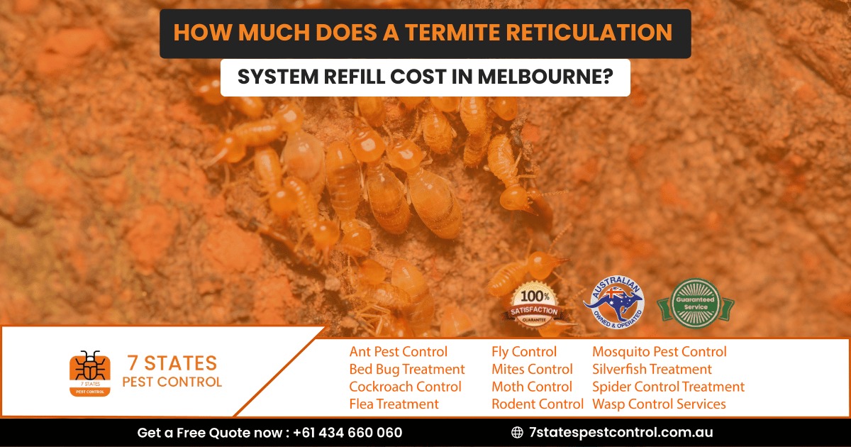 How Much Does a Termite Reticulation System Refill Cost in Melbourne?