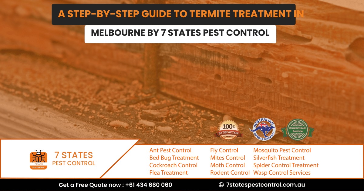 A step-by-step guide to termite treatment in Melbourne by 7 States Pest Control