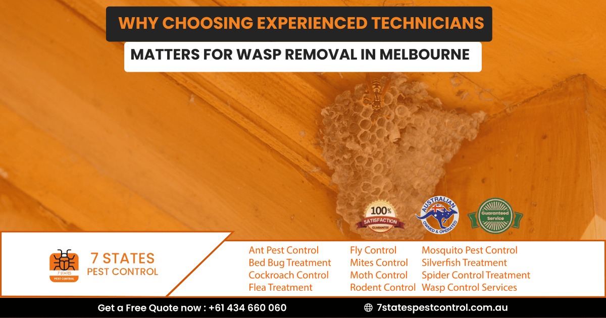 Why choosing experienced technicians matters for wasp removal in Melbourne