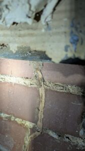 termite control melbourne