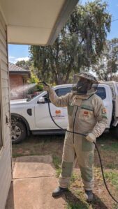 pest removal melbourne